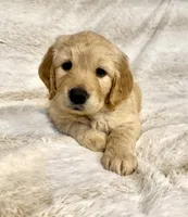 processed/f6571346-c337-47f2-b1e7-6c1b63399e8a/listing/0119b308-20ef-47db-8687-7e5ca27153b2/bbec41eb-c345-4c88-b2d4-3952fa0a400c