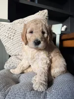 processed/f6571346-c337-47f2-b1e7-6c1b63399e8a/listing/49d30e0c-a697-4e0d-802a-3566a2cf486a/0391b965-2cc5-4f36-b90f-7d87561c9406