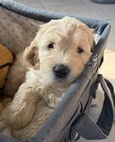 processed/f6571346-c337-47f2-b1e7-6c1b63399e8a/listing/88ddb6cb-72c5-4e78-80d0-cec82b7b931c/1d370272-5686-4726-b003-b949ba12f48d