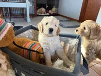 processed/f6571346-c337-47f2-b1e7-6c1b63399e8a/listing/88ddb6cb-72c5-4e78-80d0-cec82b7b931c/f5b93fd0-3b0b-4805-86a4-b8e2a8e81e60