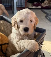 processed/f6571346-c337-47f2-b1e7-6c1b63399e8a/listing/88ddb6cb-72c5-4e78-80d0-cec82b7b931c/f86819ab-a38c-4e56-b310-37ad63bd7dd7