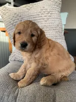 processed/f6571346-c337-47f2-b1e7-6c1b63399e8a/listing/96ff3d48-cd87-4271-b673-f6a698d0ea92/723d563a-b4f3-431e-bcb0-c4a5b431df47