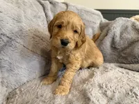 processed/f6571346-c337-47f2-b1e7-6c1b63399e8a/listing/96ff3d48-cd87-4271-b673-f6a698d0ea92/b6ec2e91-2a08-464e-ba1b-b8702228e36f