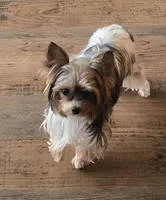 processed/f65ae950-181b-4d36-813c-853aefde26fa/facility/6b6a5b2a-7ac5-433f-a151-518564b07960