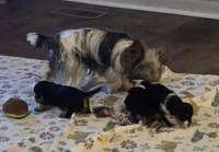 processed/f65ae950-181b-4d36-813c-853aefde26fa/facility/cb17dae7-1f01-4882-a76f-cddfc253463c