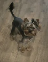 processed/f65b78b7-0ebd-4f7d-8751-af59b20a384c/listing/4a2bcdcf-5acd-440a-af1d-ef76d99667ff/94e80e23-e5c5-4332-b596-d642c3c34a24