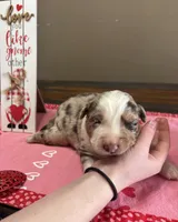 processed/f65f9f57-18ff-4448-9328-37a5b7442024/listing/9bf71e62-a488-45d7-babb-01953a222837/26b1bc7e-3c02-45c4-8c16-e31ee7d2ccf5