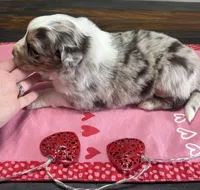 processed/f65f9f57-18ff-4448-9328-37a5b7442024/listing/9bf71e62-a488-45d7-babb-01953a222837/5d8632ff-e403-4581-b994-e79e9f29e9de