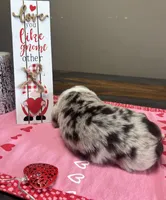 processed/f65f9f57-18ff-4448-9328-37a5b7442024/listing/9bf71e62-a488-45d7-babb-01953a222837/7eeecfd0-3337-4971-8351-ae4779e25ba3