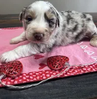 processed/f65f9f57-18ff-4448-9328-37a5b7442024/listing/9bf71e62-a488-45d7-babb-01953a222837/b1c875a1-cf30-4777-a75a-3cad5e77ef4c