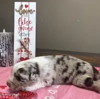 processed/f65f9f57-18ff-4448-9328-37a5b7442024/listing/9bf71e62-a488-45d7-babb-01953a222837/c864ed48-11ce-484b-9d21-bc8720d4e322