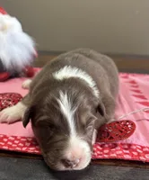 processed/f65f9f57-18ff-4448-9328-37a5b7442024/listing/d83b141a-9fa3-442f-9cf6-8f415d593d1e/70ed371a-fd17-41b9-92cd-81cc447534b6