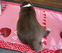 processed/f65f9f57-18ff-4448-9328-37a5b7442024/listing/d83b141a-9fa3-442f-9cf6-8f415d593d1e/e2384bbb-5439-4d5e-bb2d-e9a6a73e8034