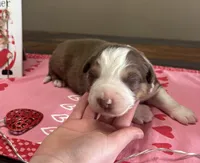 processed/f65f9f57-18ff-4448-9328-37a5b7442024/listing/e02511fd-481d-461e-aec9-eb48545ea6ed/008e9cb1-af6b-409f-896e-7084e4da467b