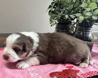 processed/f65f9f57-18ff-4448-9328-37a5b7442024/listing/e02511fd-481d-461e-aec9-eb48545ea6ed/389cac4b-aff5-46d5-a26d-1db0edcee4c6