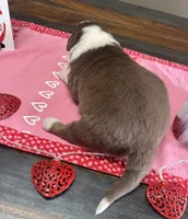 processed/f65f9f57-18ff-4448-9328-37a5b7442024/listing/e02511fd-481d-461e-aec9-eb48545ea6ed/7a07bd14-fcbd-4ad3-86c3-5aa8487e793a