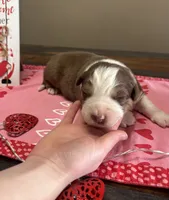 processed/f65f9f57-18ff-4448-9328-37a5b7442024/listing/e02511fd-481d-461e-aec9-eb48545ea6ed/a2b74873-8e9a-4431-bfb3-73544b6b5de3