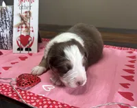 processed/f65f9f57-18ff-4448-9328-37a5b7442024/listing/e02511fd-481d-461e-aec9-eb48545ea6ed/a793ad6b-f616-4532-81b8-c0bf5ff5243f