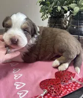 processed/f65f9f57-18ff-4448-9328-37a5b7442024/listing/e02511fd-481d-461e-aec9-eb48545ea6ed/d947bbc4-786a-4282-ae97-c35d56e7d21b