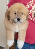 processed/f66dcd58-73db-4f2c-89e7-14d7a3f68c62/listing/44d7aa12-1206-4ba4-b24e-64985b0578a6/0a7d5f5a-d04c-488a-82d9-0098b0c4392a