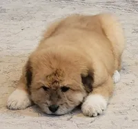 processed/f66dcd58-73db-4f2c-89e7-14d7a3f68c62/listing/44d7aa12-1206-4ba4-b24e-64985b0578a6/17a72504-5a7f-4bd9-a85e-886f23cd6a6a