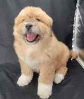 processed/f66dcd58-73db-4f2c-89e7-14d7a3f68c62/listing/44d7aa12-1206-4ba4-b24e-64985b0578a6/cdc2e88a-3cb0-471a-a685-240eba9c5423