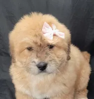 processed/f66dcd58-73db-4f2c-89e7-14d7a3f68c62/listing/44d7aa12-1206-4ba4-b24e-64985b0578a6/f07c789a-49e1-48b9-8289-62b096a96e93