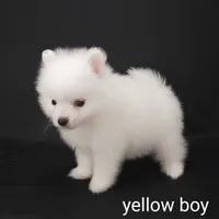 processed/f66dcd58-73db-4f2c-89e7-14d7a3f68c62/listing/53c607f6-920d-4ca6-97bd-de9036f084a1/0e0a46ba-c0df-4dd3-80ce-d96a0450b55e