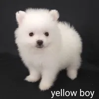 processed/f66dcd58-73db-4f2c-89e7-14d7a3f68c62/listing/53c607f6-920d-4ca6-97bd-de9036f084a1/15a5757b-22d1-4d15-a198-2b84665904b8