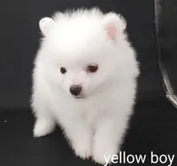 processed/f66dcd58-73db-4f2c-89e7-14d7a3f68c62/listing/53c607f6-920d-4ca6-97bd-de9036f084a1/bb39f052-a3f7-4c73-8499-6adb1c34f197