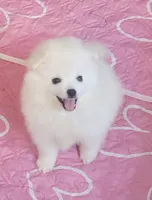 processed/f66dcd58-73db-4f2c-89e7-14d7a3f68c62/listing/905d95a1-addf-4927-b895-eeec2de97cc0/27de2bdc-cba5-4d6d-88a9-d6dea68b4d81