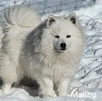 processed/f66dcd58-73db-4f2c-89e7-14d7a3f68c62/listing/905d95a1-addf-4927-b895-eeec2de97cc0/863a444f-2153-46ca-8735-dbb408fce4c7