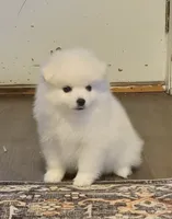 processed/f66dcd58-73db-4f2c-89e7-14d7a3f68c62/listing/905d95a1-addf-4927-b895-eeec2de97cc0/f975629e-00f3-4b44-b002-9b1b95ec1519