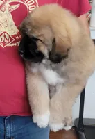 processed/f66dcd58-73db-4f2c-89e7-14d7a3f68c62/listing/95c7c017-42d9-418d-b529-c752dd9effdd/4ff9309c-af42-4254-9b41-fcf90dcfd39a