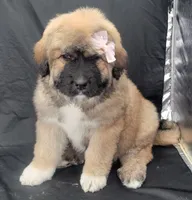 processed/f66dcd58-73db-4f2c-89e7-14d7a3f68c62/listing/95c7c017-42d9-418d-b529-c752dd9effdd/62f0bfcd-267a-4379-a996-ce9bdea5831b