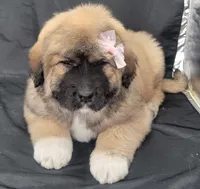 processed/f66dcd58-73db-4f2c-89e7-14d7a3f68c62/listing/95c7c017-42d9-418d-b529-c752dd9effdd/71a39648-bb06-44b1-b091-d2121b394daf