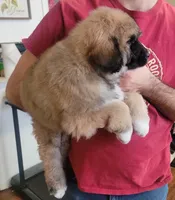 processed/f66dcd58-73db-4f2c-89e7-14d7a3f68c62/listing/95c7c017-42d9-418d-b529-c752dd9effdd/d7082bc3-73df-4ee8-80ab-7048bd150ed5