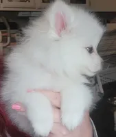 processed/f66dcd58-73db-4f2c-89e7-14d7a3f68c62/listing/fc9e4717-4a72-4353-9e41-5d2e6a980c1e/97e3bf44-2e25-466e-9f80-dd9390f937d2