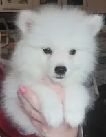 processed/f66dcd58-73db-4f2c-89e7-14d7a3f68c62/listing/fc9e4717-4a72-4353-9e41-5d2e6a980c1e/9da4092a-f3f4-4ecc-adc3-966ce67f0e9b