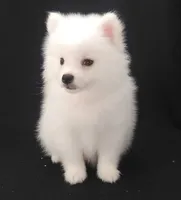 processed/f66dcd58-73db-4f2c-89e7-14d7a3f68c62/listing/fc9e4717-4a72-4353-9e41-5d2e6a980c1e/ae8cd56f-7e4e-47c7-837f-ac95b83f80f3