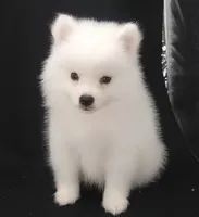 processed/f66dcd58-73db-4f2c-89e7-14d7a3f68c62/listing/fc9e4717-4a72-4353-9e41-5d2e6a980c1e/be248bac-17d9-4d41-83ee-594df8617067