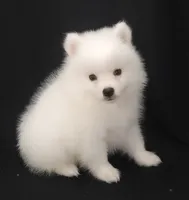 processed/f66dcd58-73db-4f2c-89e7-14d7a3f68c62/listing/fc9e4717-4a72-4353-9e41-5d2e6a980c1e/e4faad9d-436d-42f4-a7d6-60f95e47f915