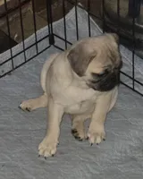 processed/f66ef206-c8a2-4cf9-8052-197a1a48a338/listing/25c87b6d-3fbe-4557-a249-fe01dfcb01d9/5bc97c80-2d67-4592-ae69-8eaf1402b539