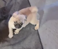 processed/f66ef206-c8a2-4cf9-8052-197a1a48a338/listing/25c87b6d-3fbe-4557-a249-fe01dfcb01d9/73bfcb2b-1634-4a5a-8240-4db63f312ae6