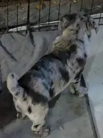 processed/f66ef206-c8a2-4cf9-8052-197a1a48a338/listing/3280d2a7-e026-4e3d-a028-f803ff668c82/10821d35-32bc-438d-876c-41f1aa9ab06e