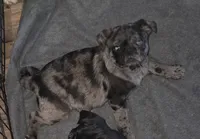 processed/f66ef206-c8a2-4cf9-8052-197a1a48a338/listing/3280d2a7-e026-4e3d-a028-f803ff668c82/a7705553-c29f-4bda-a466-4b9b97f5758e