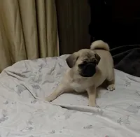 processed/f66ef206-c8a2-4cf9-8052-197a1a48a338/listing/418ce8d9-890a-4e8b-9fa6-7d6334942f15/ab58bc7a-e937-4bdd-a8fc-917c74e267b8