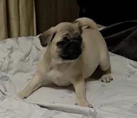 processed/f66ef206-c8a2-4cf9-8052-197a1a48a338/listing/418ce8d9-890a-4e8b-9fa6-7d6334942f15/f475cc89-b87f-4d47-a24e-dba95306f592