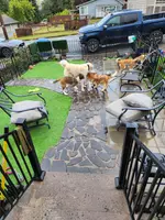 processed/f66ef206-c8a2-4cf9-8052-197a1a48a338/listing/4376ae94-5c48-45c5-a990-bb4b15d457a1/639d439d-4354-471a-852c-8aecfa9d092e