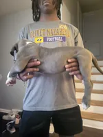 Ice, a female Dogo Argentino and Cane Corso for sale in Aurora, IL – 2 of 2
